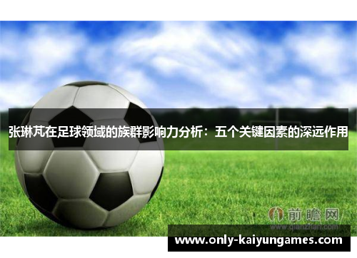 张琳芃在足球领域的族群影响力分析：五个关键因素的深远作用