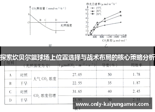 探索坎贝尔篮球场上位置选择与战术布局的核心策略分析